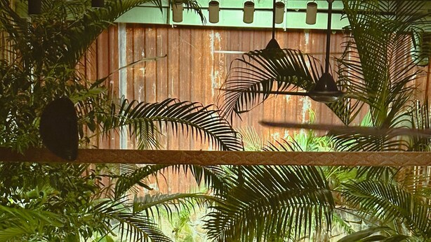 An outdoor dining area with tables and chairs surrounded by lush greenery. - YLUNA Boutiquestay (Can Tho)