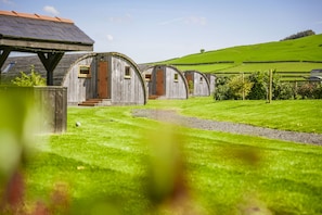 A row of rustic wooden cabins with a gravel path leading to them, set in a lush green landscape.