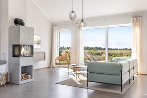 TV, fireplace, stereo