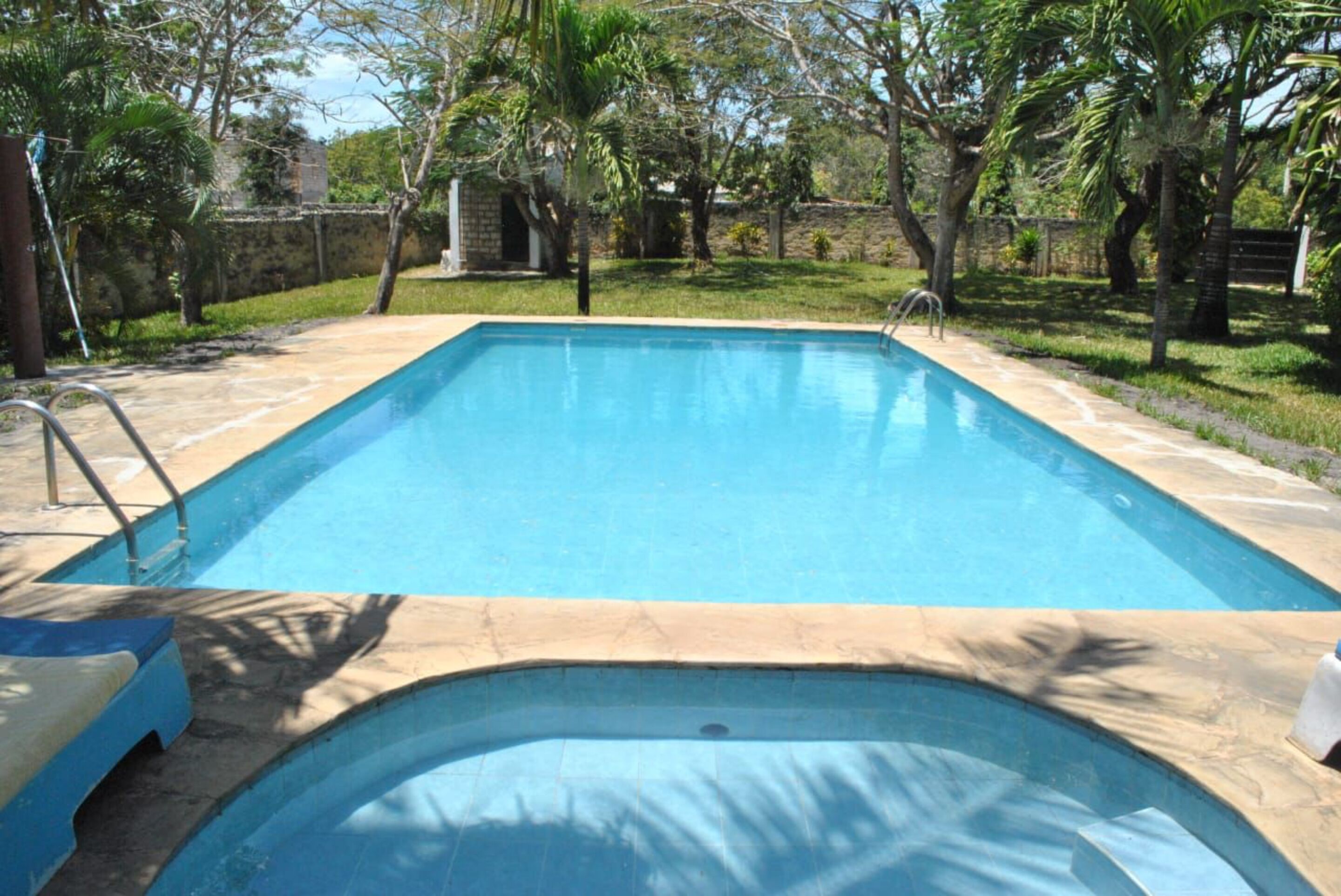 Una piscina rectangular con una escalera en un lateral, rodeada por una terraza de piedra y palmeras.