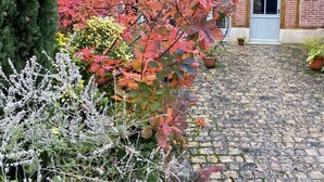 A brick building with a cobblestone driveway and a garden with autumn foliage.
