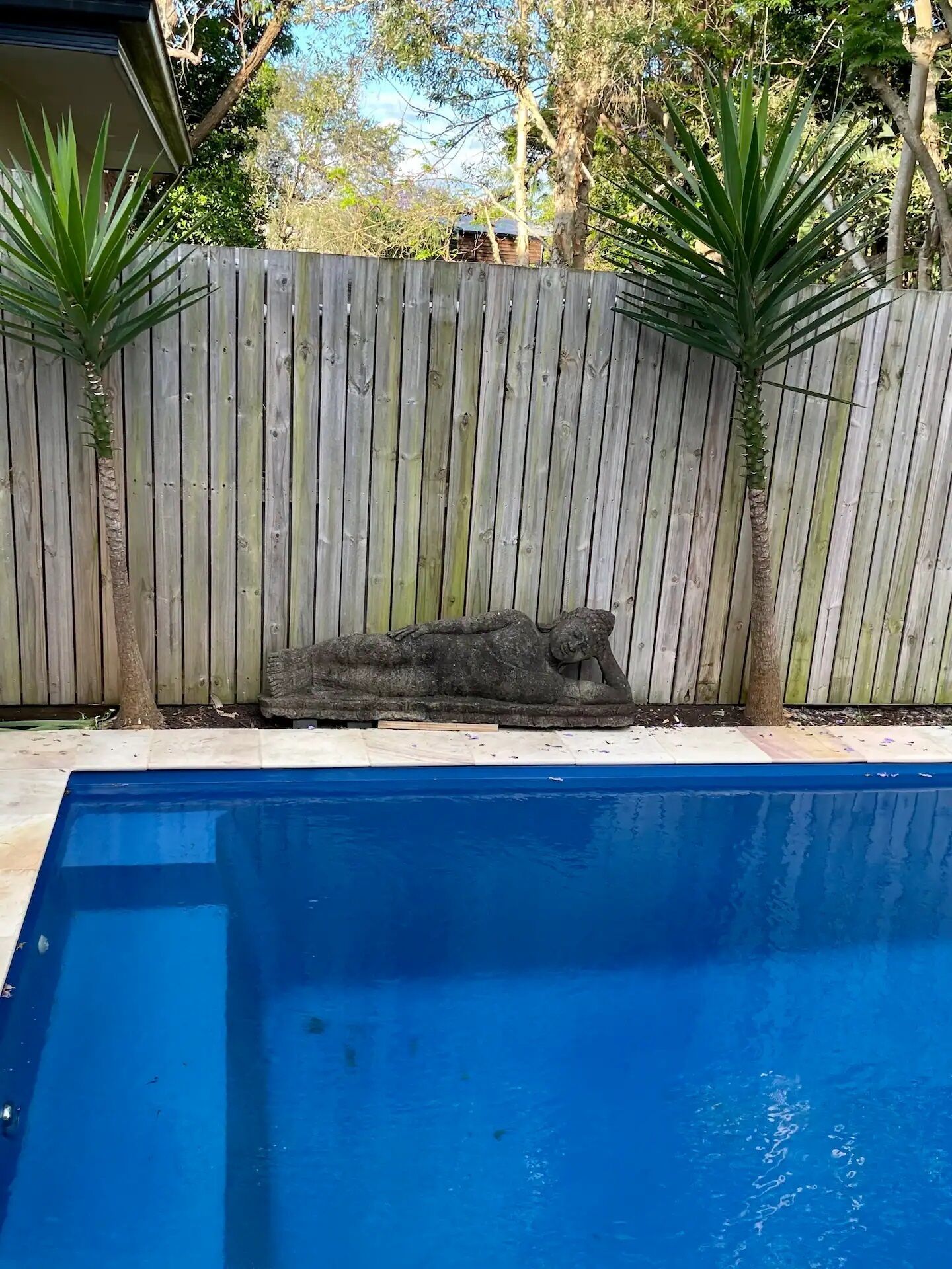 Une piscine entourée d’une clôture en bois et agrémentée de deux palmiers.