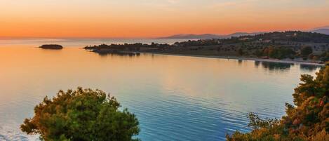 A serene lakeside view with a small island, surrounded by dense trees and a distant shoreline with buildings.