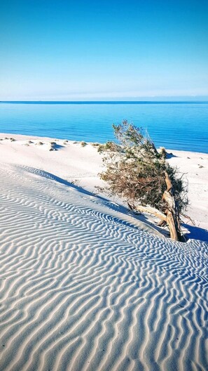 Beach - The Tree of Life # Your home in Sardinia (Carbonia)
