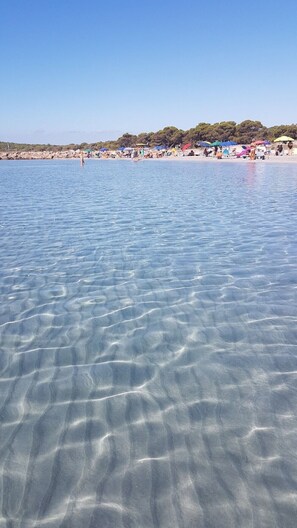 Beach - The Tree of Life # Your home in Sardinia (Carbonia)