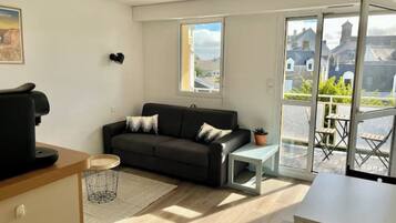 TV, computer monitors