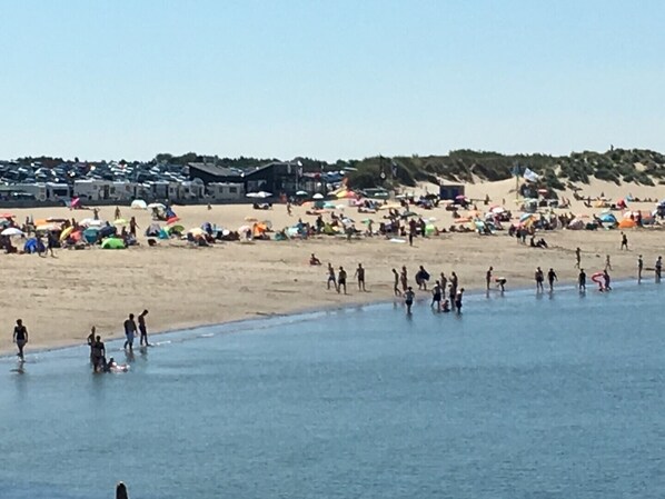 Playa en los alrededores y camastros 