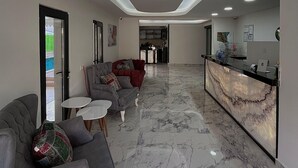منطقة الاستقبال