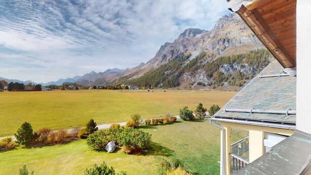 A view from a balcony overlooking a mountainous landscape with a grassy field and scattered trees. - 4-room apartment in the loft. (Sils/Segl Maria)