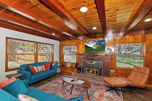 TV, fireplace, video games