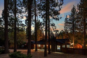 A cabin with a stone exterior, surrounded by tall pine trees, and a visible porch area.