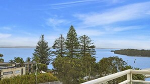 Une vue sur la côte, avec de grands arbres, un ciel dégagé et une étendue d’eau.