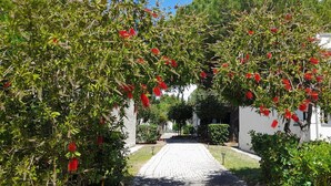 A pathway leading to a white building surrounded by lush greenery and red flowering plants. - Hibiscus Beach Village - Family apartments within walking distance of the sea (Follonica)