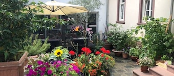 LUXURY | NEAR FRANKFURT | 8 PERSON 24/7 CHECK