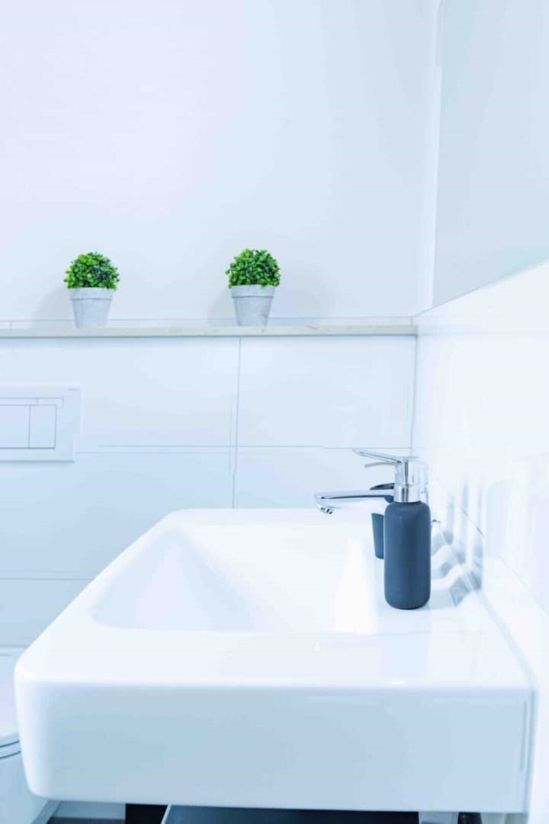 Ein modernes Badezimmer mit einem weißen Waschbecken, zwei Blumentöpfen an der Wand und einer chromfarbenen Armatur.