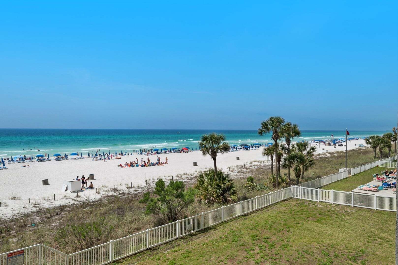 A beach with a white fence, palm trees, and umbrellas.