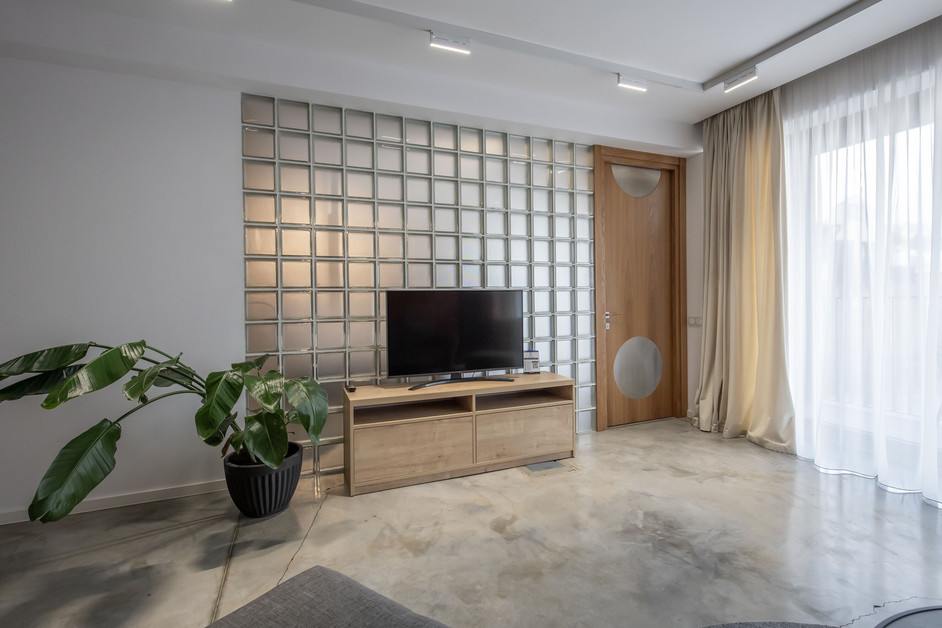 Una sala de estar moderna con un televisor de pantalla plana sobre un mueble de madera, una planta grande en maceta y un puerta corrediza de vidrio que da a un balcón.