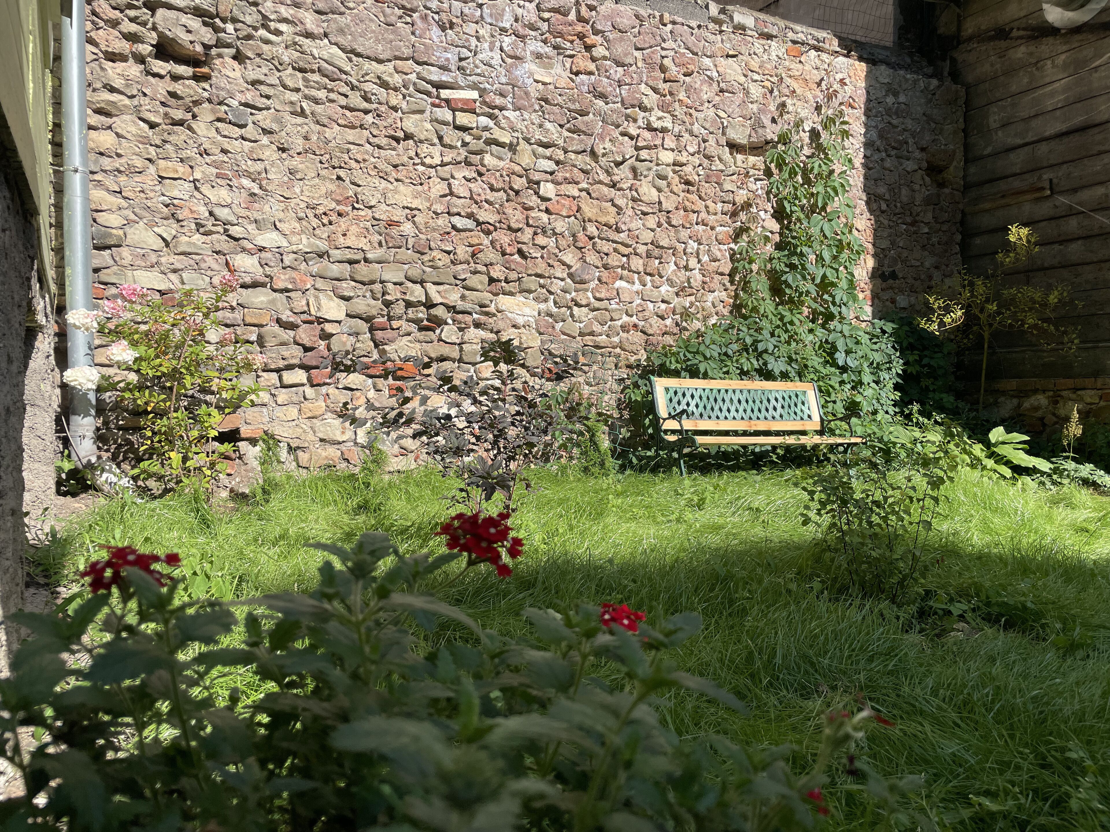 Departamento | Terraza o patio