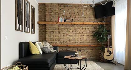 Elegant 1Br/Ba Apt in City Center w free parking