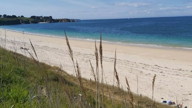 Ein Strand mit klarem, blauem Wasser, sandigem Ufer und grüner Vegetation.