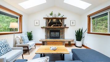 Smart TV, fireplace, books