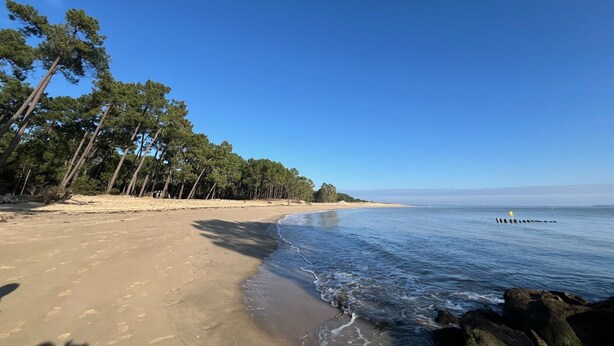 En strand med klar himmel, sandstrand och träd längs kusten.