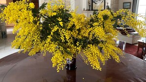 Ett stort, runt matbord med en mörk bordsskiva, omgivet av gula blommor i en vas.