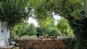 A stone wall with potted plants, a white wall with a decorative dish, and a lush green garden.