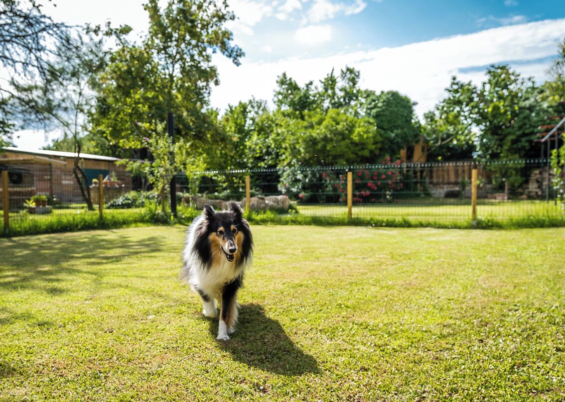 Jardines del alojamiento