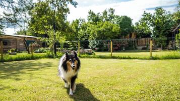 Jardines del alojamiento