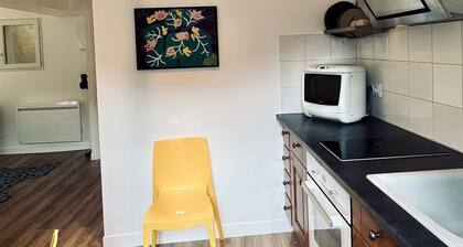 RhizHome - City center, spacious apartment