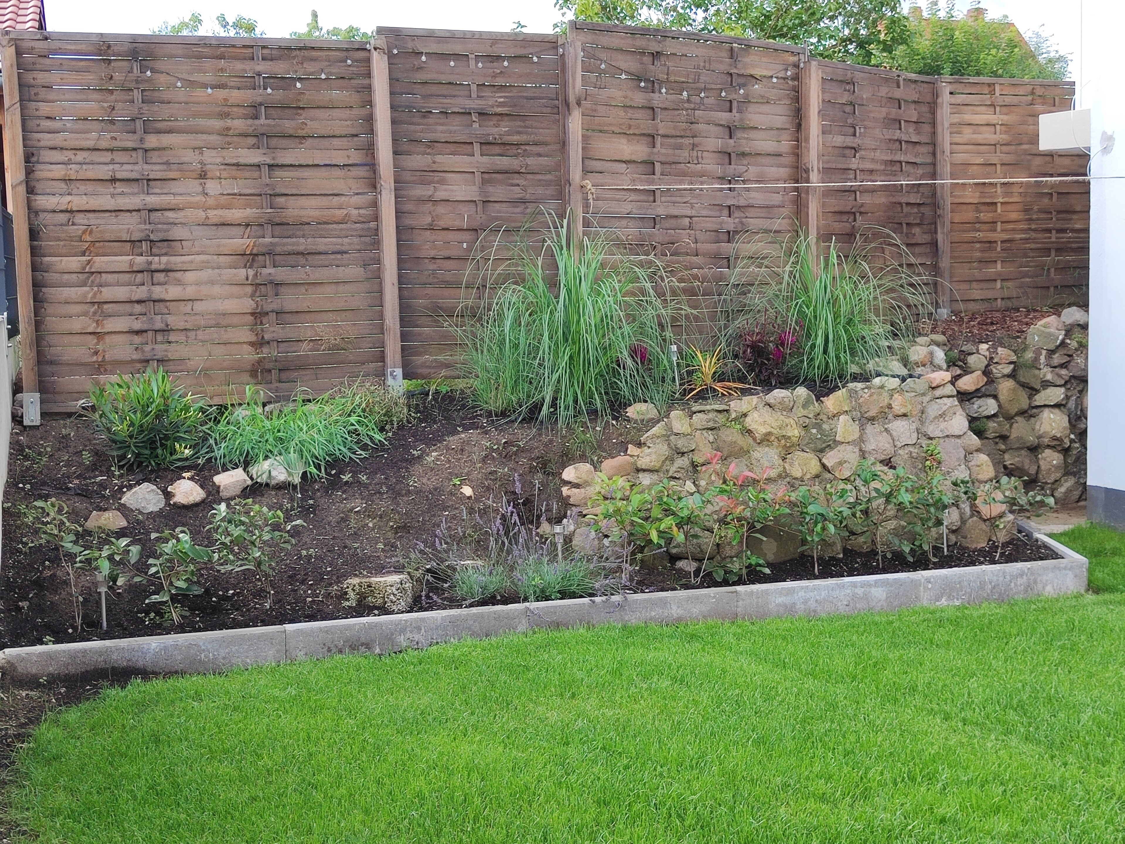 A garden with a wooden fence, various plants, and a stone wall.