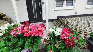 A building entrance with a black door, a small porch area with potted plants, and a window with a white blind. - Vacation apartment Heide I (Walsrode)