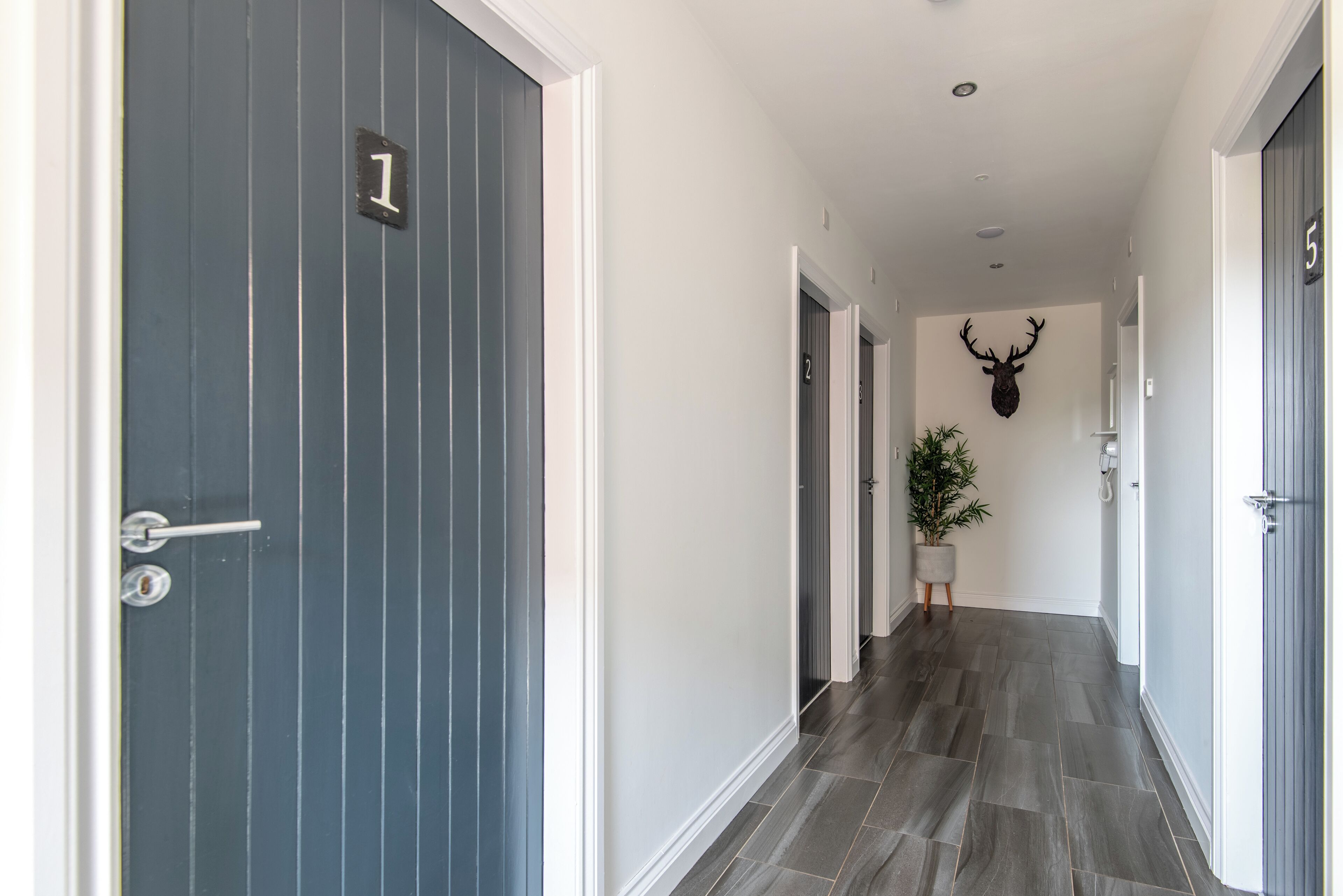 A hallway with a dark blue door labeled '1', a hallway with a deer head decoration, and a door labeled '5'.