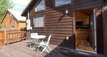 Cozy 2BR -Hot Tub -Close to 14ers & Skiing - Views