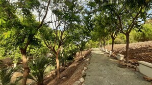 A pathway lined with trees and small stone structures, leading through a natural landscape. - Xeresa del Monte 85 Only Families! (Xeresa)
