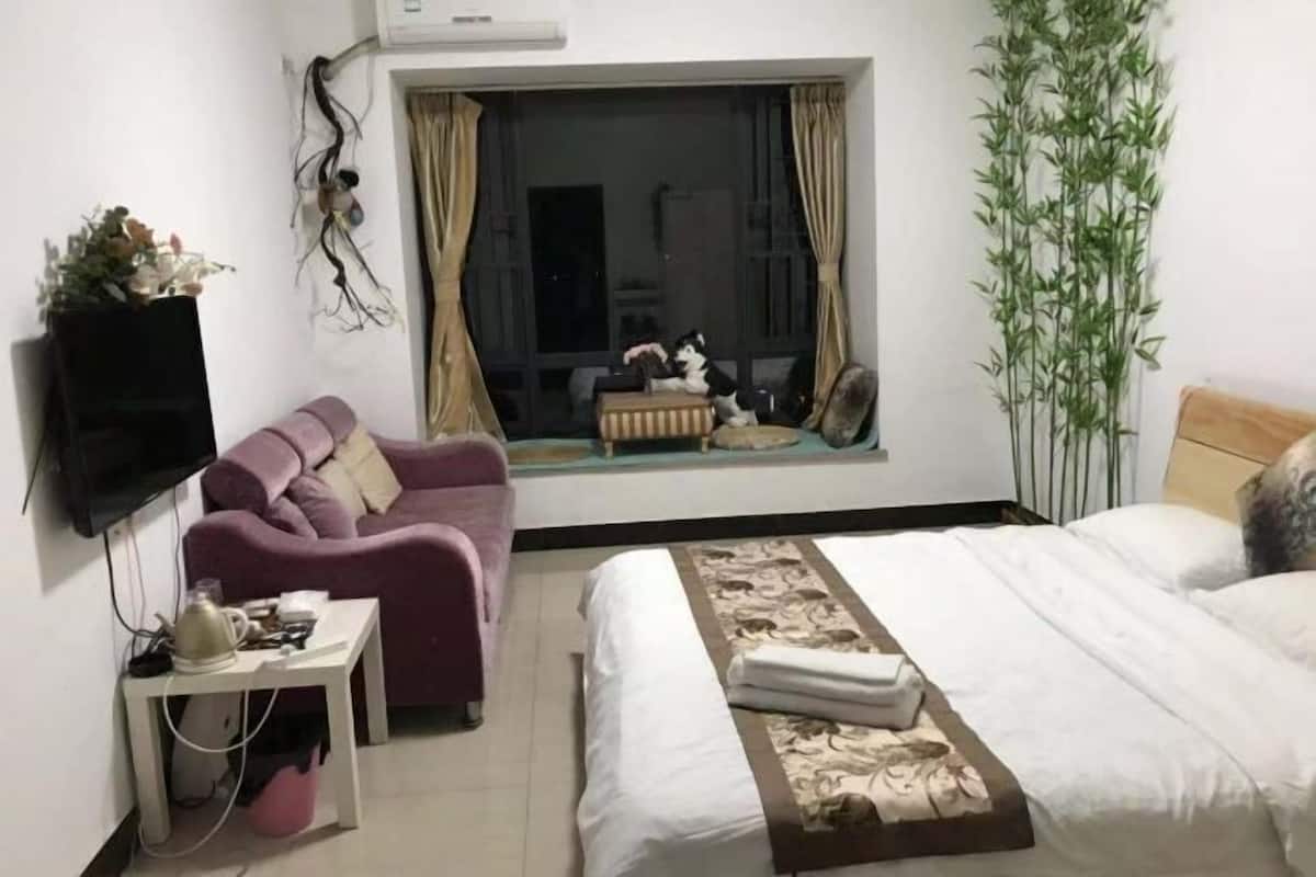 A hotel room with a bed, a sofa, a TV, a window with a view of the outside, and a potted plant.