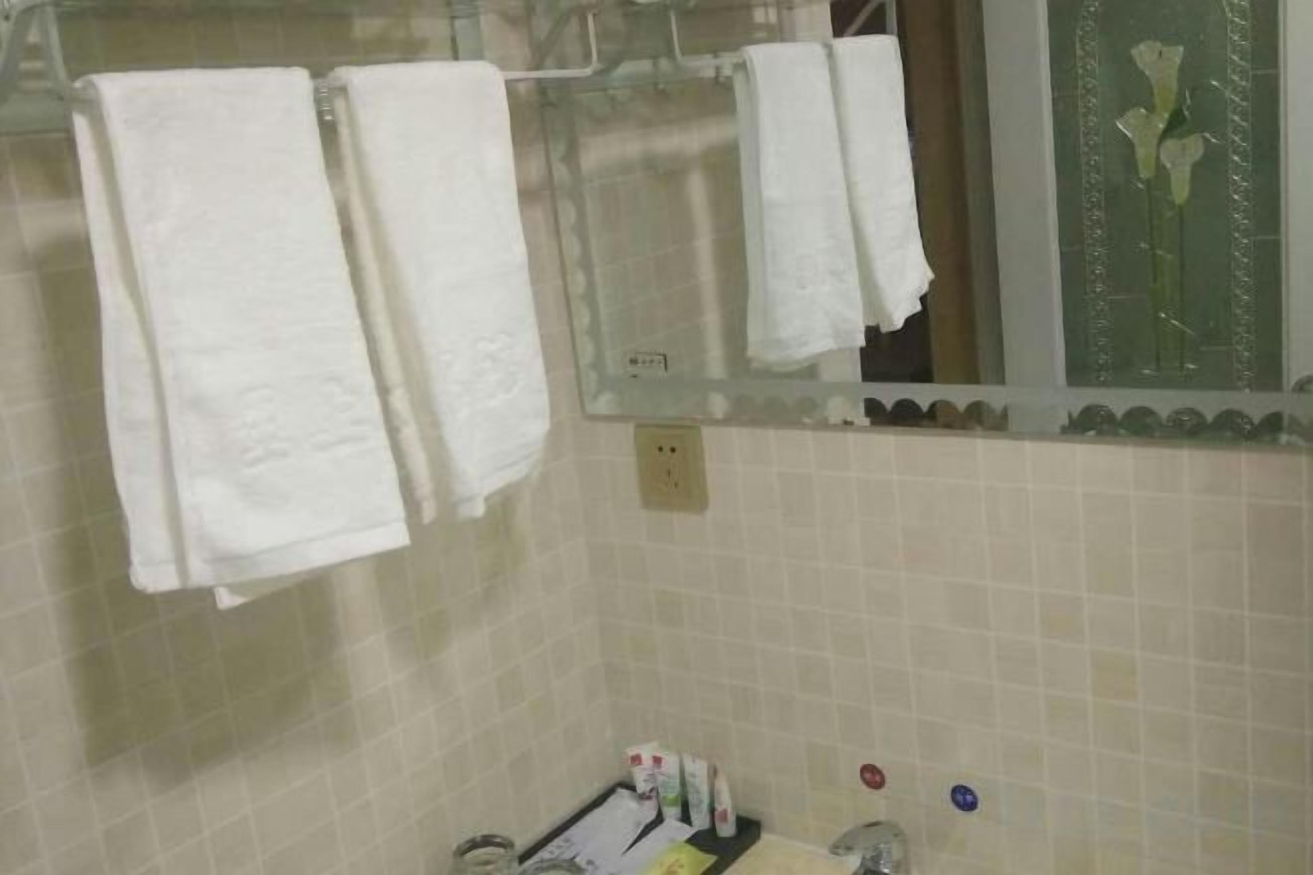 A bathroom with white towels hanging on a rack, a mirror above the sink, and a window with a view of flowers.