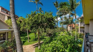 Un jardín exuberante con palmeras y un sendero que conduce a un edificio con balcón.