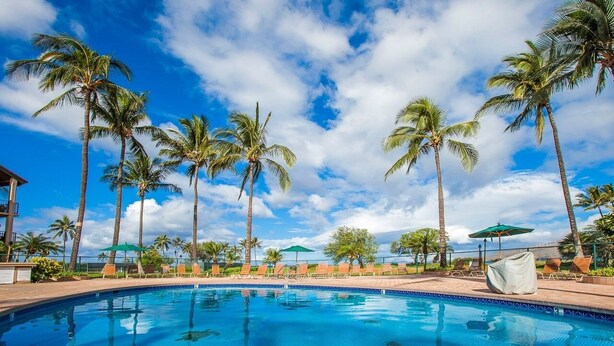 Piscina rodeada de palmeras y sillas de descanso bajo un cielo despejado.