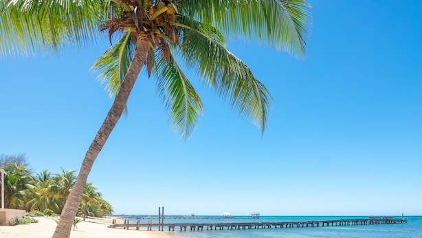A beach with a palm tree, clear blue sky, and a pier extending into the water. - Casa Palmera 2 Bedroom Home by RedAwning (Roatan)