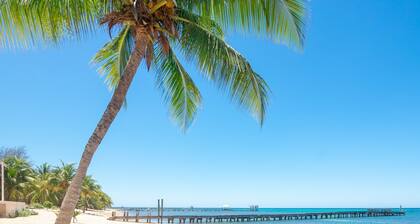 Casa Palmera 2 Bedroom Home by RedAwning