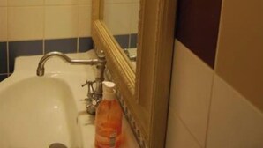 A bathroom with a white sink, a mirror, and a potted plant. - Aigues-Mortaise house in the city (Aigues-Mortes)