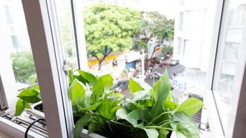 Vista desde la propiedad