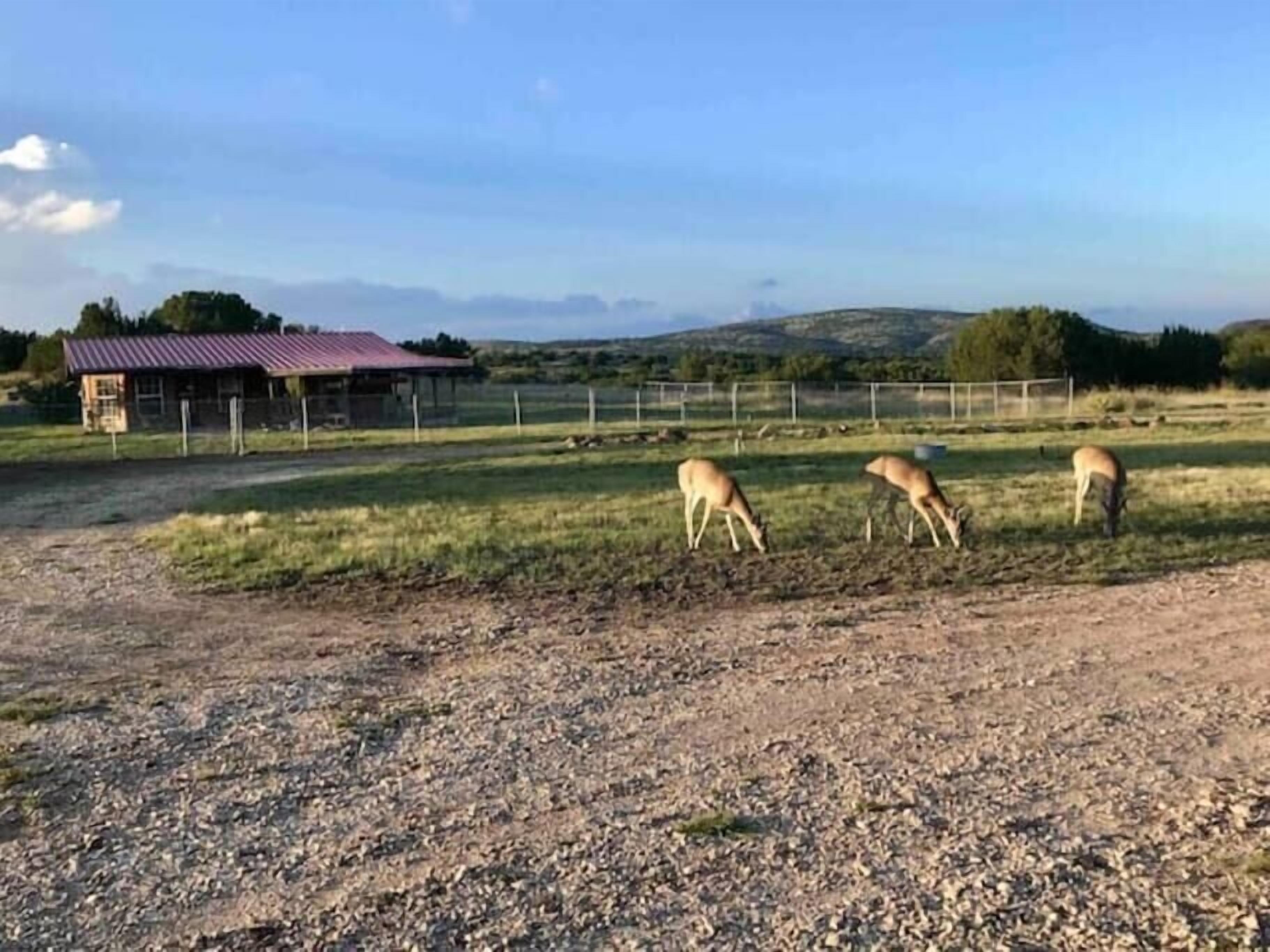 Cottonwood Creek Cabin-Private Yard w/ *BIG PORCH*