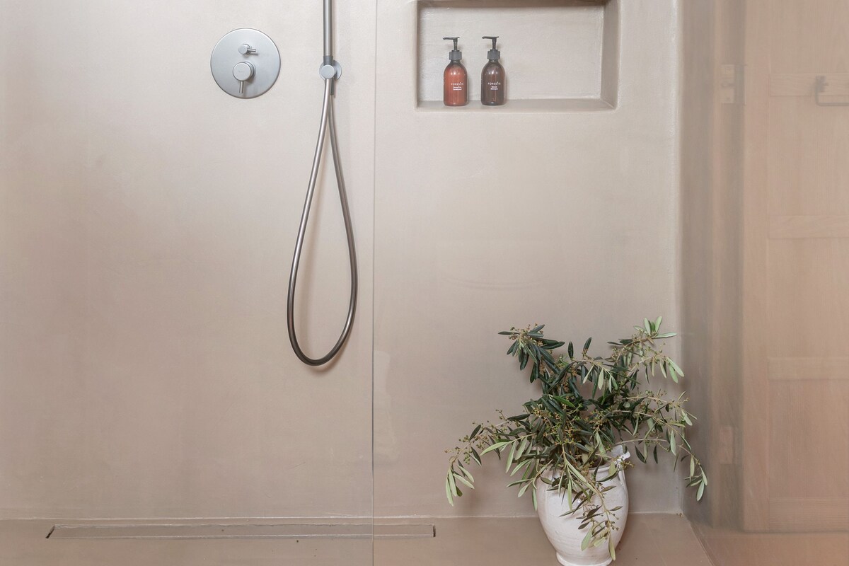 Une salle de bain moderne avec une douche, une plante en pot et une étagère contenant des articles de toilette.