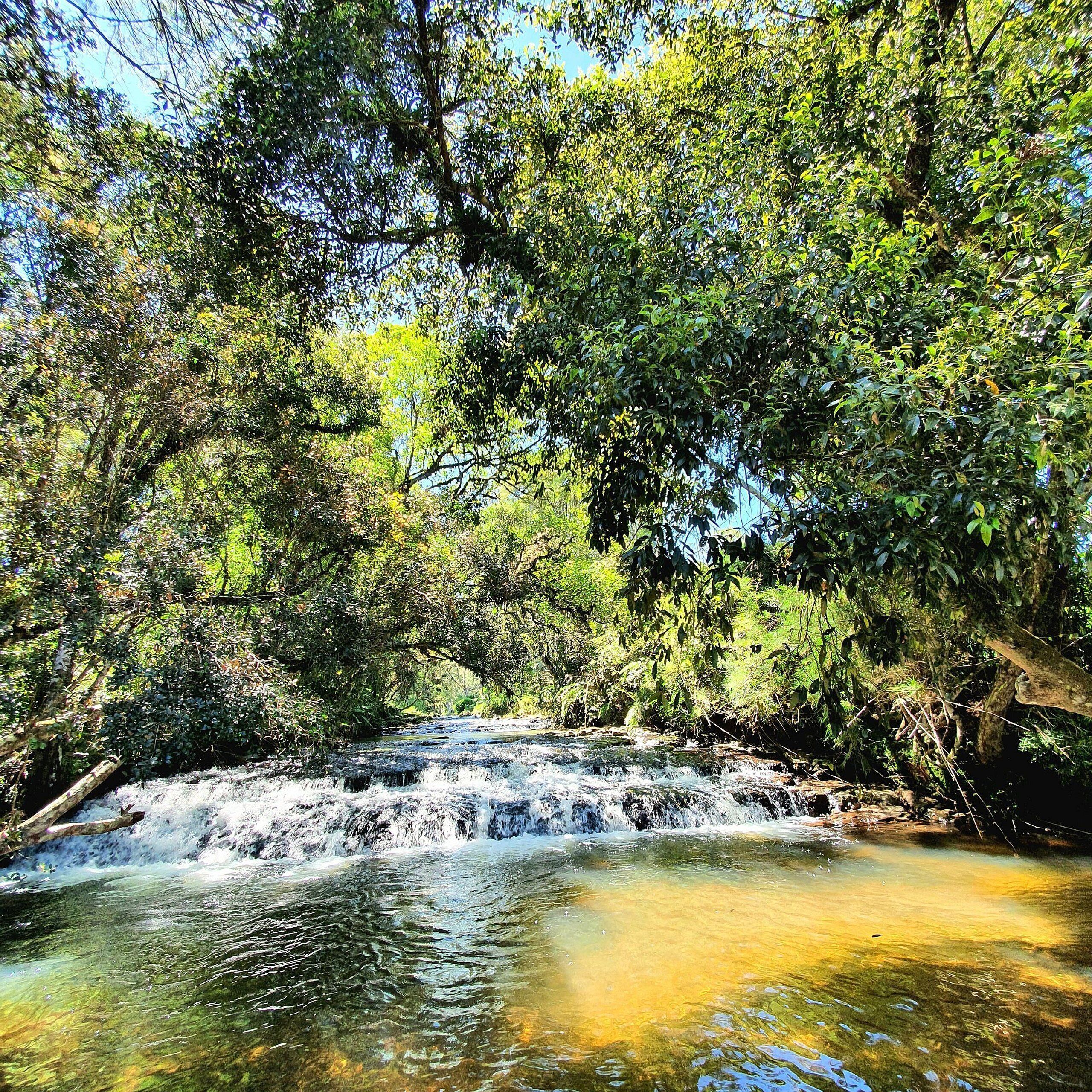 Un paisaje natural con un río serpenteante, abundante vegetación y un cielo despejado.