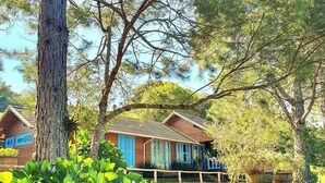 Un chalet rustique aux murs en bois et aux volets bleus, entouré d’une végétation luxuriante et d’arbres.