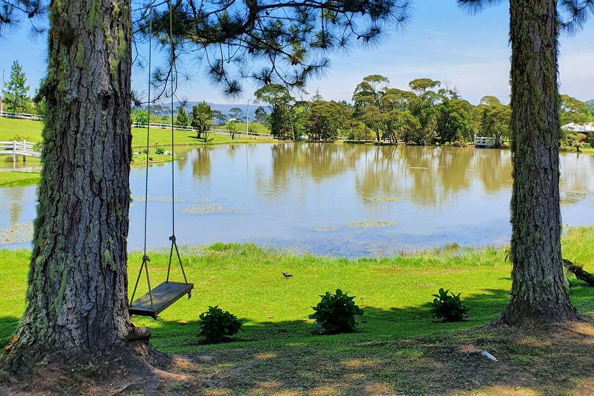 A serene park with a lake, trees, and a swing.
