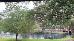 A view of a lake with a tree in the foreground and a building in the background. -  One block to Beach! Clean, Bright, newly renovated 3BR 2BA Flat  (Fernandina Beach)